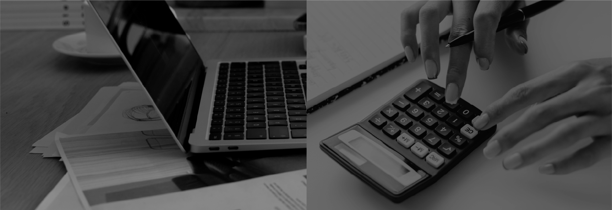 headermainRecurso 81